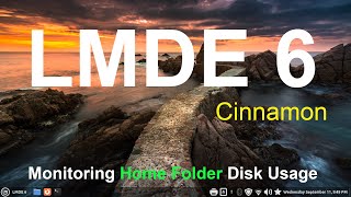 LMDE 6  Monitoring Home Folder Disk Usage [upl. by Acirea]