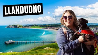 Our First Time in North Wales Exploring Llandudno [upl. by Eiromem992]