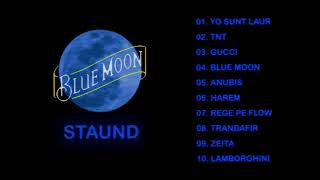 STAUND  BLUE MOON [upl. by Ecerahs]