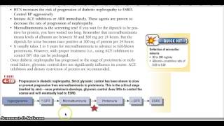 Learn With Me Diabetic Nephropathy Microalbuminuria Proteinuria [upl. by Bow502]