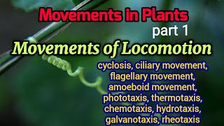 Movements of Locomotion in Plants  Plant Movement  Tactic Movements  Botany  AM Biologie Notes [upl. by Yanat]