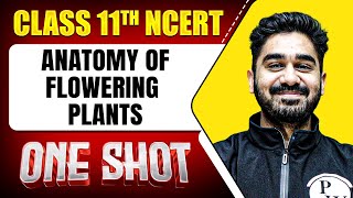 ANATOMY OF FLOWERING PLANTS in 1 Shot  FULL Chapter Coverage ConceptsPYQs  Class 11th Botany [upl. by Ysus]