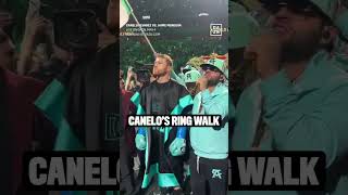 CANELOS RING WALK 🤩🔥 [upl. by Ahsienor]