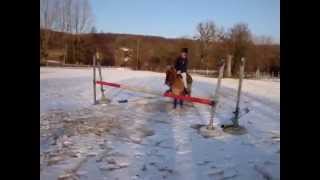 Shetland pony jumping [upl. by Bigot]