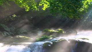 1 hour of Relaxing River Sounds Ideal for Sleep Healing or Studying [upl. by Starla]