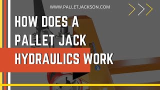 Pallet Jack Hydraulic System Explained  How Pallet Jack Hydraulics Work  Hydraulic Basics [upl. by Ejrog]