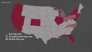 Red flag laws What are they and do they work [upl. by Anelis]