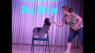 20 Awesome Dog Tricks performed by Jasmine [upl. by Rybma612]