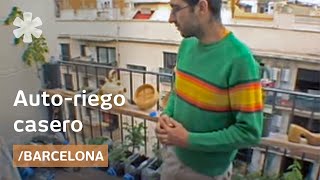 Huerto urbano con autoriego casero en un balcón de Barcelona [upl. by Calabrese]