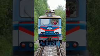 Train ane bali hai jaldi ana youtubeshorts shorts train youtube [upl. by Marks]