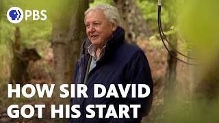 How Sir David Attenborough Got His Start [upl. by Judson]