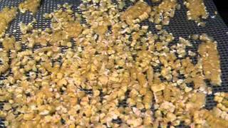 Dehydrating sweet corn [upl. by Hasile]