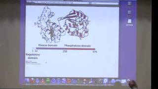 Kevin Aherns BiteSized Biochemistry 24  Gluconeogenesis II Carbohydrate Metabolism [upl. by Yrogiarc]