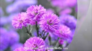 FLOWER IN THE RAIN by Jaci Velasquez with lyrics [upl. by Adnolor158]