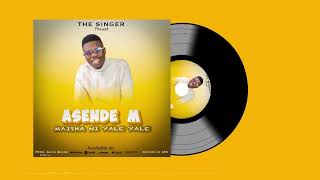 Asende M Maisha Ni Yale Yale Official Audio [upl. by Eiramlirpa]