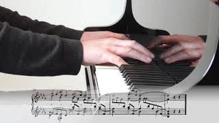 Robert Schumann Dichterliebe op 48  16  Die alten bösen Lieder [upl. by Airdnaz397]