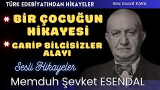 quotBir Çocuğun Hikayesiquot quotGarip Bilgisizler Alayıquot Memduh Şevket Esendal Hikayeleri [upl. by Delora904]