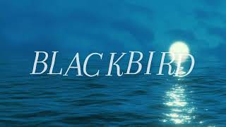 Blackbird Lyric Video  Vanessa Falabella [upl. by Adnilre]