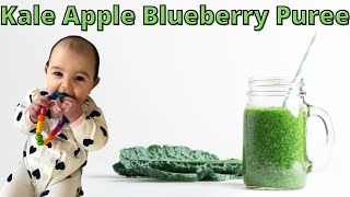 How To Make Kale Puree For Baby  Kale Blueberry Apple Recipe [upl. by Nerraw765]