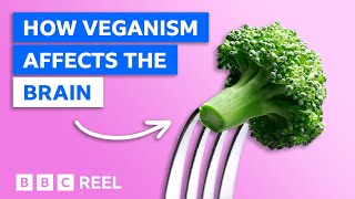 How a vegan diet affects your brain – BBC REEL [upl. by Buchbinder837]