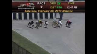 Greyhound Electrocuted at Sarasota Kennel Club [upl. by Signe]