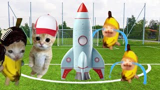 BANANA CAT Rocket broke [upl. by Emia]