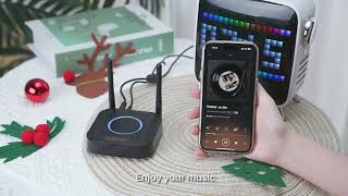 B06Pro Bluetooth Receiver [upl. by Kono]