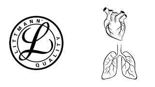 Sanitäter Basics  Herz und Atemgeräusche [upl. by Kcerb262]