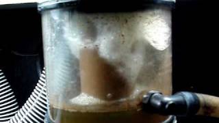 AquaC EV 180 Protein Skimmer In Action [upl. by Byrann]