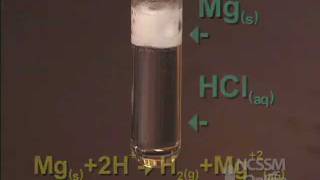 Reaction of Mg with HCl [upl. by Robinia]