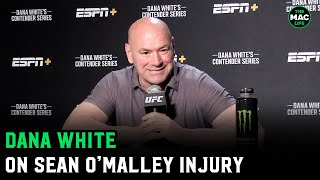 Dana White on Sean O’Malley’s injury “How would doctors test for a labrum You can’t” [upl. by Tsnre746]