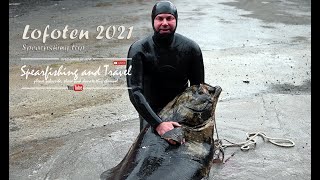 Lofoten Spearfishing Trip 2021 [upl. by Atok335]