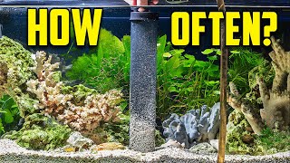 Aquarium Water Change  Sand Vac and Full Tank Cleaning 80 Water Change [upl. by Kenison]