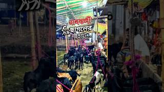 গাবতলী ছাগলের হাট ২০২৪ gabtolihaat chagol goat gabtoligorurhaat2024 [upl. by Annayhs688]