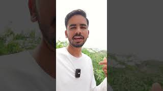 Vilayati Babul  अंग्रेजी पेड़  कीकर का पेड़  Prosopis Juliflora [upl. by Alvord]