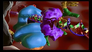 NonHomologous End Joining [upl. by Tadeas]