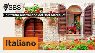 Un ritratto australiano del quotBel Marcelloquot  SBS Italian  SBS in Italiano [upl. by Rhody]