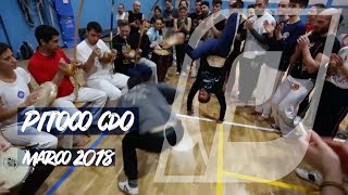 Capoeira  Pitoco março de 2018 [upl. by Teemus]