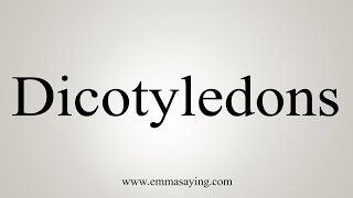 How To Say Dicotyledons [upl. by Alemahs]