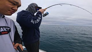 JAYDEN CATCHES THE COOLEST FISH ON MY FISHING ROD HERVEY BAY BOAT SESSIONS EP77 [upl. by Aderf]