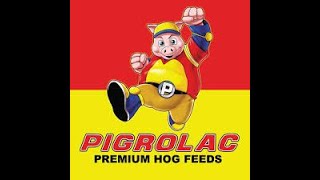 Pigrolac Hog Feeding Guide [upl. by Norak198]