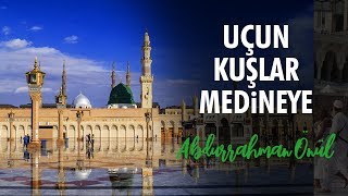 Uçun Kuşlar Medineye  Abdurrahman Önül  İlahiler [upl. by Arenat]