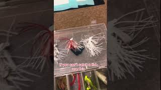 fishtok fishing bass catfish glide bait whopper plopper lures fish blue gill jig senko [upl. by Notned]