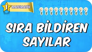 Sıra Bildiren Sayılar 📘 1Sınıf Matematik 2025 [upl. by Vida]