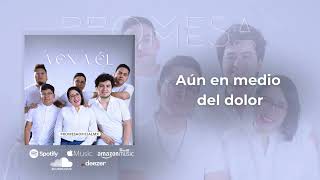 VEN A ÉL PROMESA  Video lyric [upl. by Ariahaj]