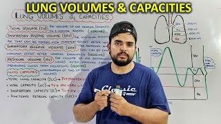 Lung Volumes and Capacities Essential Concepts for Respiratory Function [upl. by Nesila583]