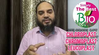 Interesting facts about Chloroplast Chromoplast and Leucoplast simplythebestbio [upl. by Orimisac936]