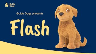 GUIDE DOGS  FLASH ANIMATION [upl. by Marjy]