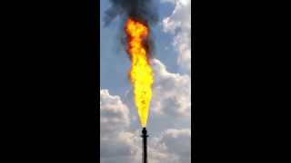 LYONDELLBASELL PETROCHEMICAL PLANT MORRIS IL DIVISION shorts fire naturalgas [upl. by Jehiah]