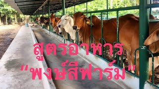 เลี้ยงวัวสมัยใหม่กับไม้เอก พงษ์สีฟาร์ม EP2​brahman ThailandCHATGANFARM CHANNEl0990439886หมอเอก [upl. by Nnylhsa]